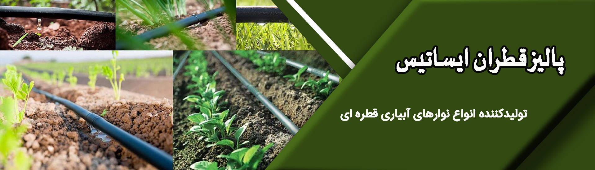 پالیز قطران